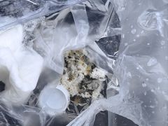 -上海波特曼丽思卡尔顿酒店