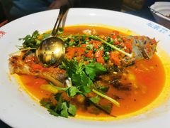 -坛宗剁椒鱼头(河西王府井店)