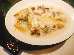 米汤浸东海大黄鱼-炳胜品味(海印总店)