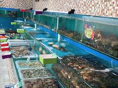 -港畔赶海蒸汽海鲜烧烤自助(仙螺岛店)