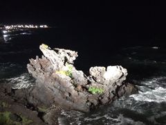 -汉拿树木园