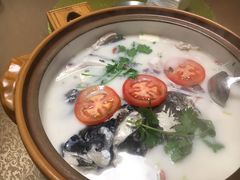 -全乐鱼馆·淳牌有机鱼直营店