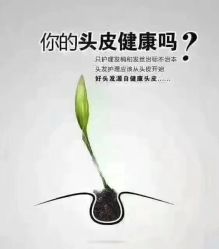 点击看大图 -十六番发型师事务所