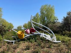 -泗洪洪泽湖湿地景区