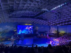 -海合安武汉极地海洋公园