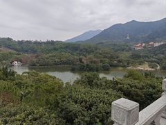 -深圳仙湖植物园