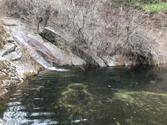 -王顺山国家森林公园