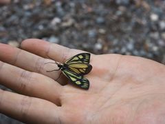 -西岭雪山大飞水景区