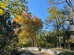 -阳台山自然风景区