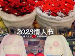 -中粮·祥云小镇