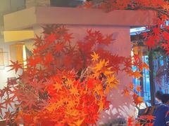 -蓉城老妈火锅(双林路店)