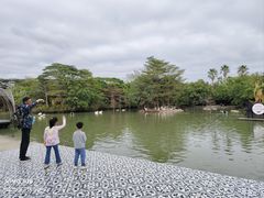 -大湾区中央湿地公园