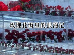 -万达广场(龙湖店)