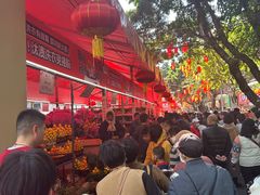 -越秀西湖花市(广州城市广场花卉店)