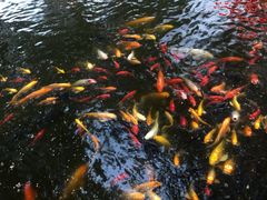 景观位-白家大院·王府宫廷菜(苏州街店)
