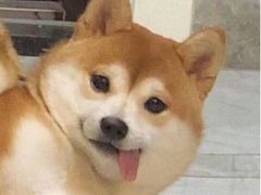 -詹爷爷乌节路街头冰淇淋