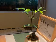 -小茶闲舍·观景商务茶馆(广州塔店)
