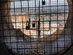 -圣母百花大教堂穹顶