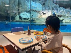 -帝企鹅自助餐厅•儿童岛•真企鹅(长隆企鹅酒店)