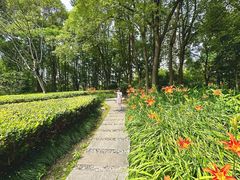 -苏州河梦清园环保主题公园