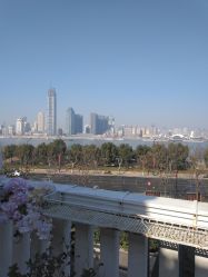 -禾丽康美医疗美容医院