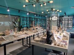 -Trend1881视光·蔡司视觉(领展广场店)