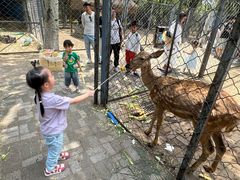 -长白岛森林公园