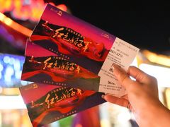 -三亚红色娘子军演艺公园景区