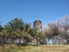 -玲珑塔公园