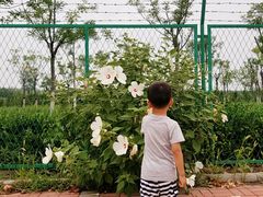 -天津东丽湖风景区