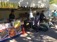 -北海道厅旧本厅舍(旧本庁舎)