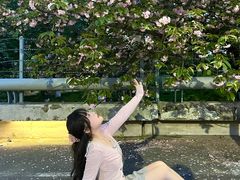 -南京奥林匹克体育中心