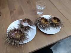 -海胆小馆(东北水饺·春柳店)