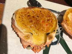 -青叶日式料理(飘亮阳光广场店)