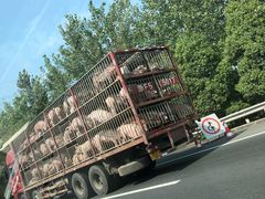 -南花桥羊肉馆老字号(乌镇店)