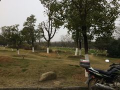 -艾溪湖湿地公园