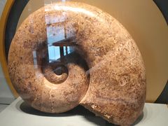 -湖南省地质博物馆