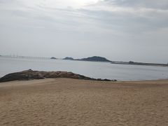 -野狸岛