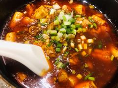 邵子牛脊髓-曾牛肉