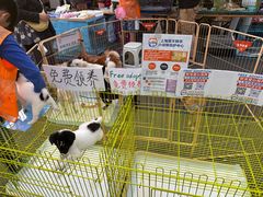 -老外街