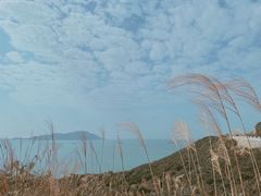 -东澳岛