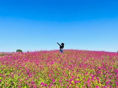 -径山花海