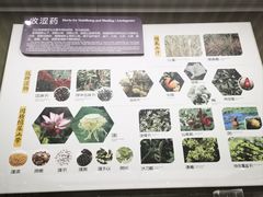 -北京中医药大学-中医药博物馆