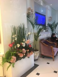 -亲亲宝贝艾尔莎亲子摄影会馆(中华路店)