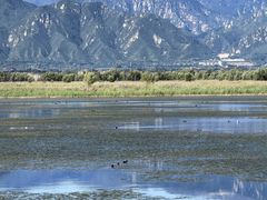 -野鸭湖国家湿地公园