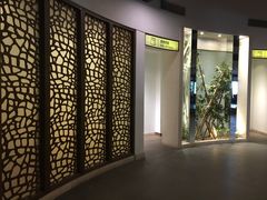 -厦门日月谷温泉渡假村