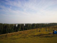 -合肥滨湖国家森林公园