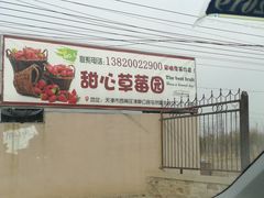 -甜心庄园·甜心草莓采摘园(西青中北店)