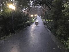 -苏堤停车场