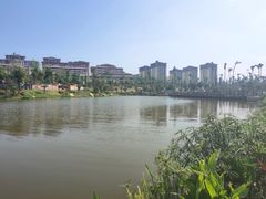 -枫香湖儿童公园